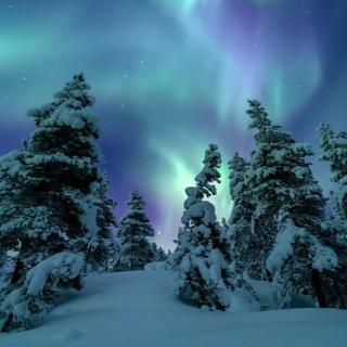 FUNK精选高燃丨健身/游戏/刷题的精神氮