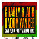 Gyal You A Party Animal (Remix)专辑