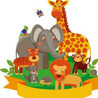 欢迎来到动物园zoo