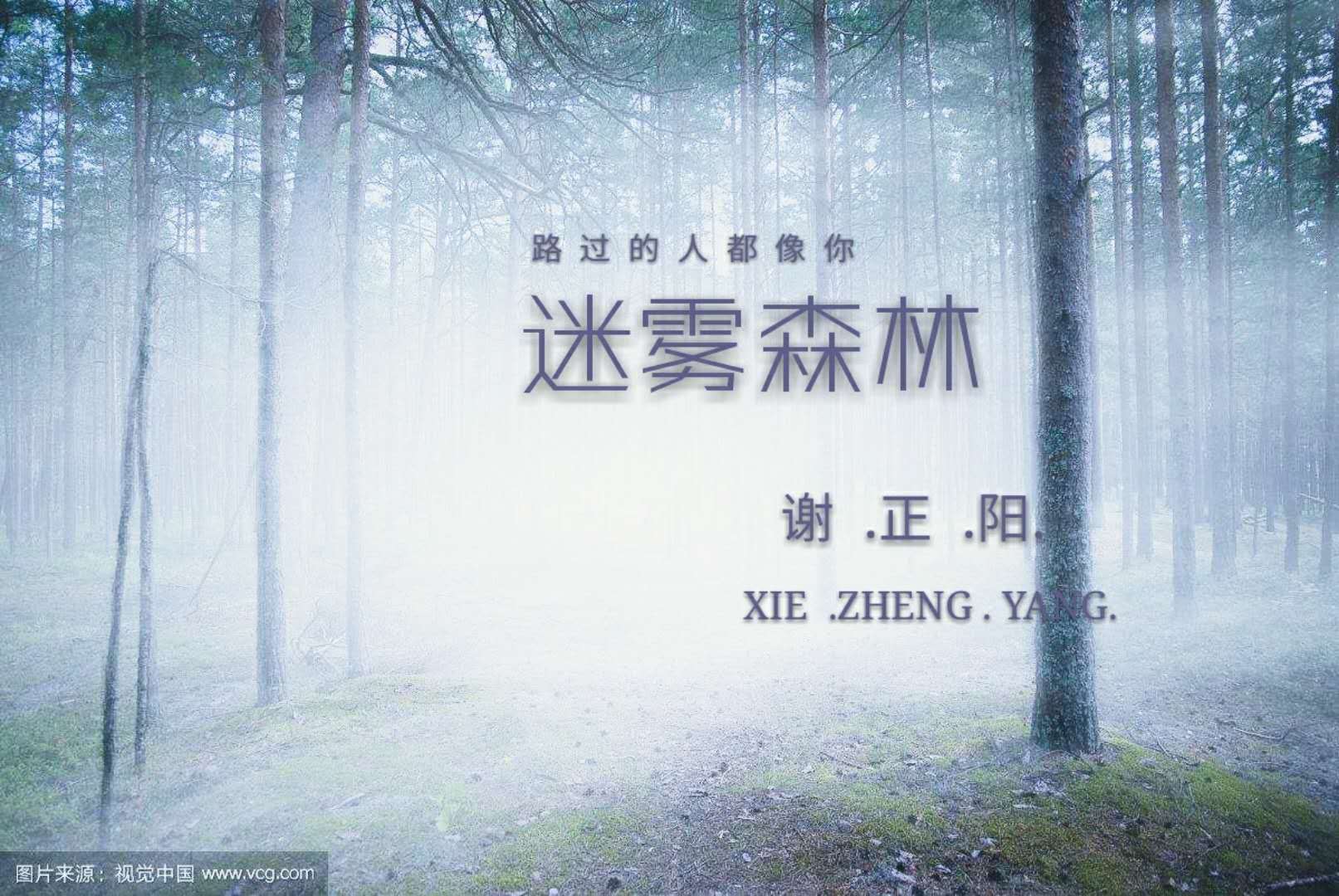 迷雾森林专辑