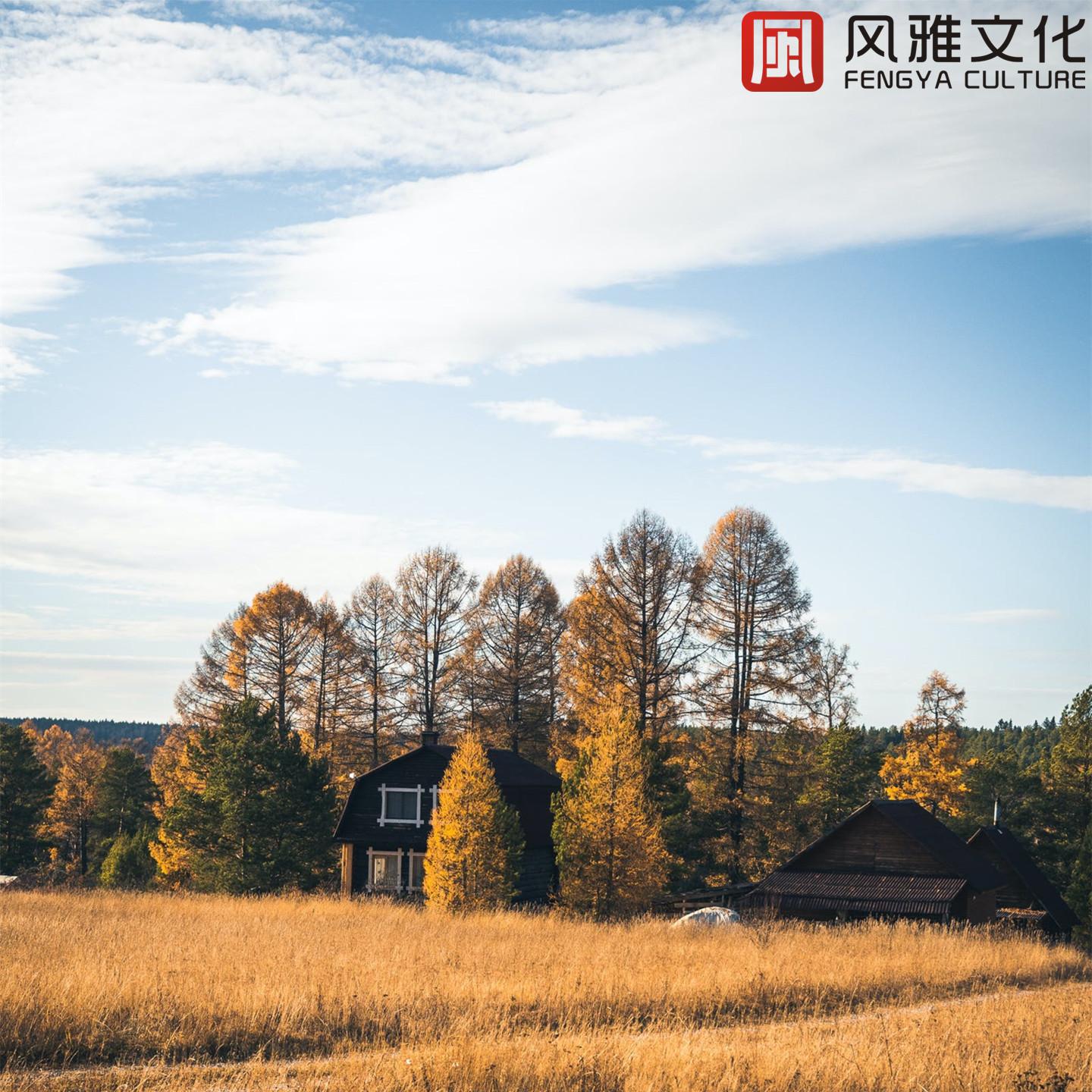 学习静心小调轻音乐 / 安静舒缓纯音乐