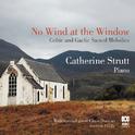 No Wind at the Window: Celtic and Gaelic Sacred Melodies专辑