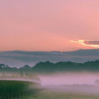 还是你懂我【对吧】