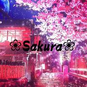 ❀Sakura❀