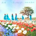 Life is beautiful / HiDE the BLUE专辑