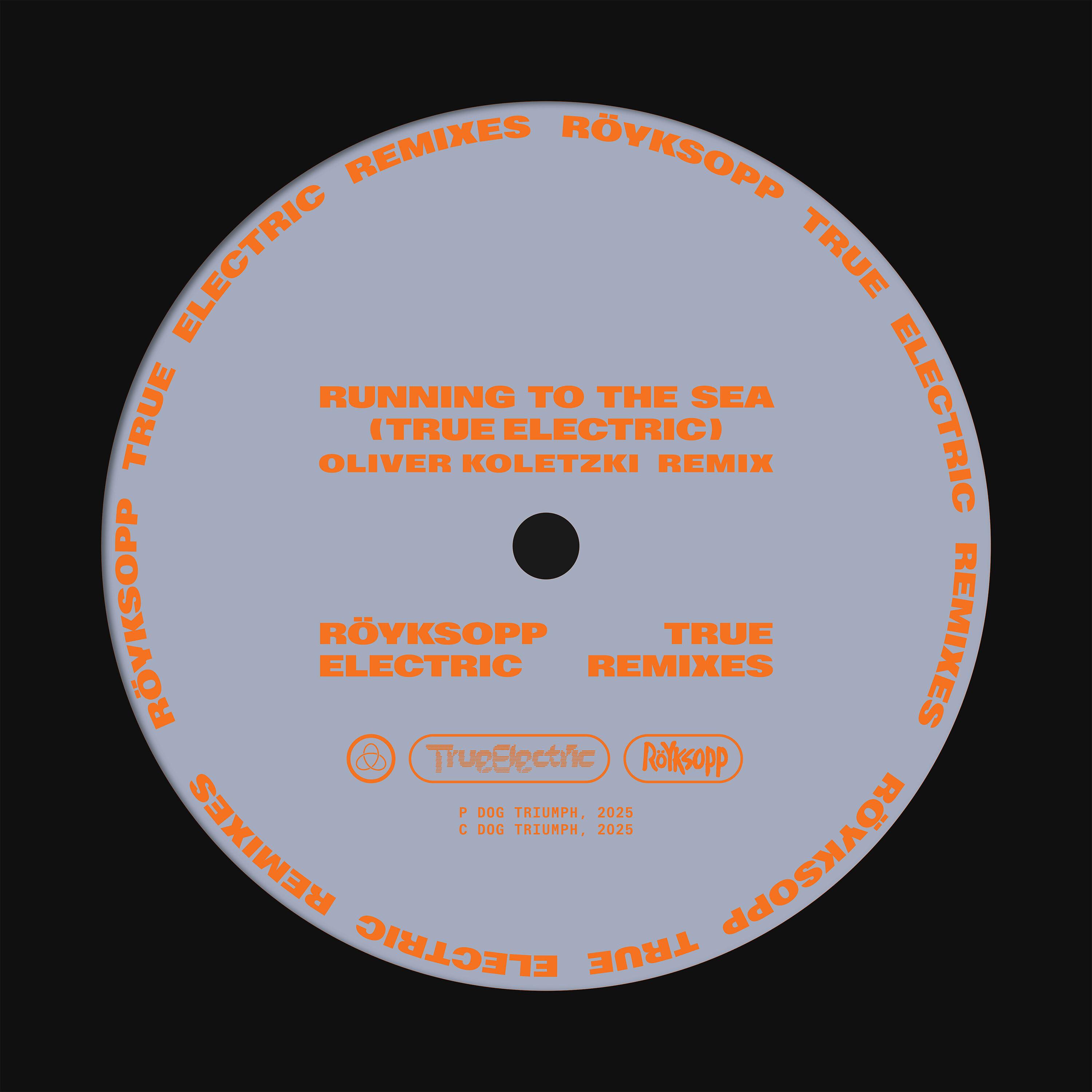 Running To The Sea (Oliver Koletzki Remix)
