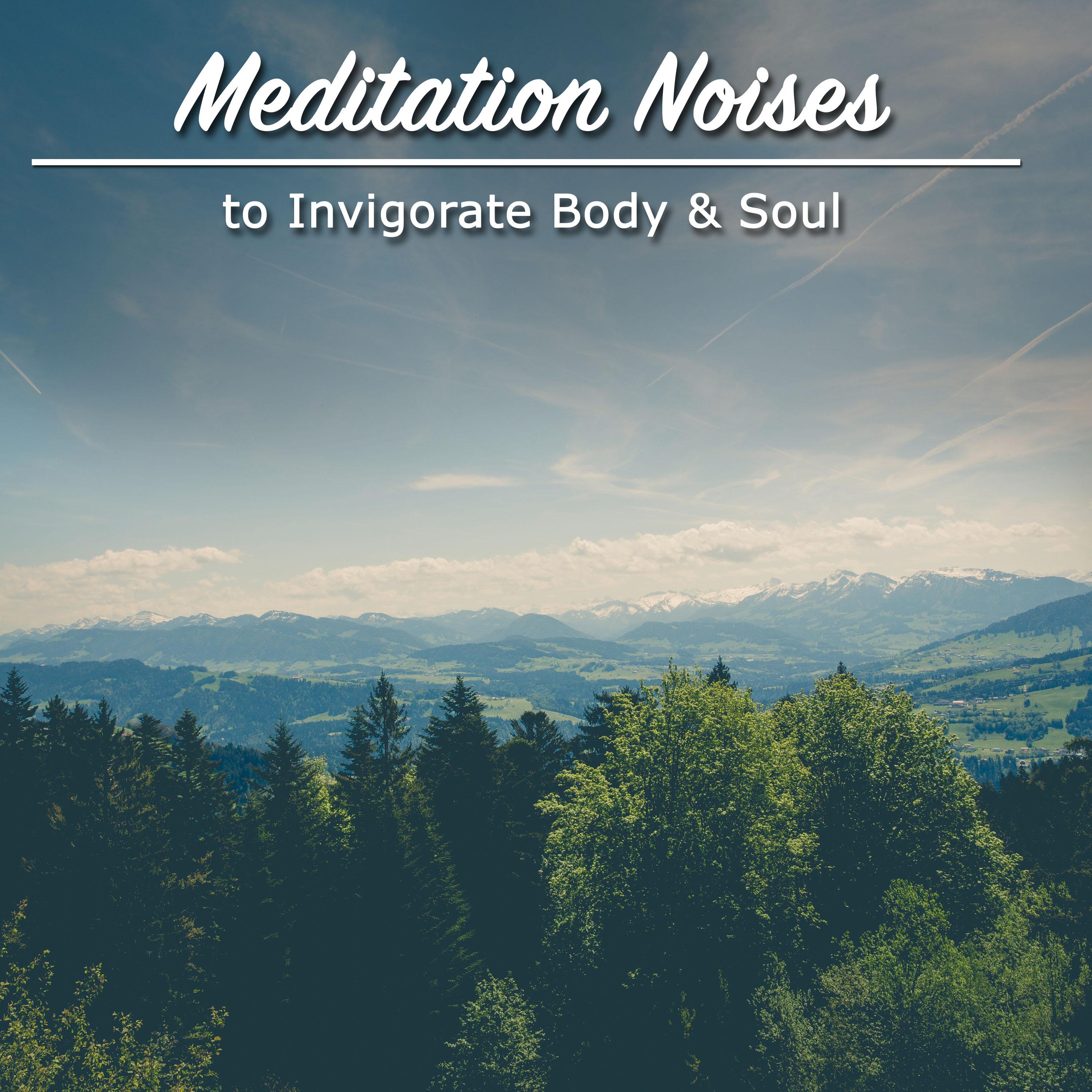 17 Asian Meditation Noises to Invigorate Body and Soul专辑