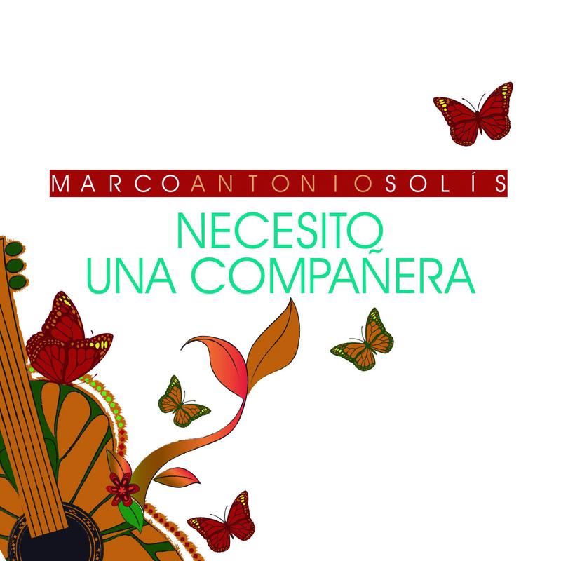 Necesito Una Compañera