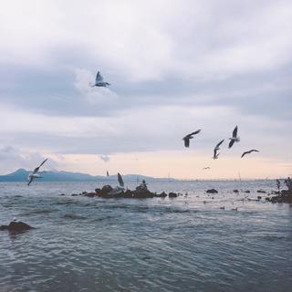 洱海