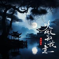 晚风知我意 (原版立体声)