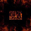 Burn (Dotcom's Festival Remix)专辑