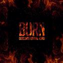 Burn (Dotcom's Festival Remix)专辑