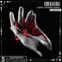 Imagine (feat. Carbonne) [Timmy Trumpet Remix]专辑