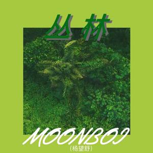 Moonboi(杨望舒) - 丛林 （升1半音）