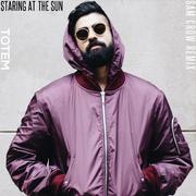 Staring at the Sun (Sam Crow Remix)