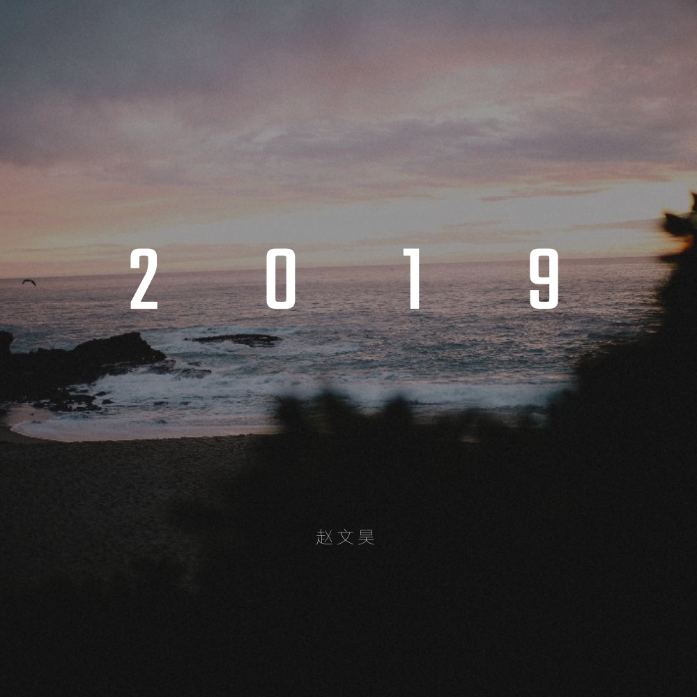 2019专辑