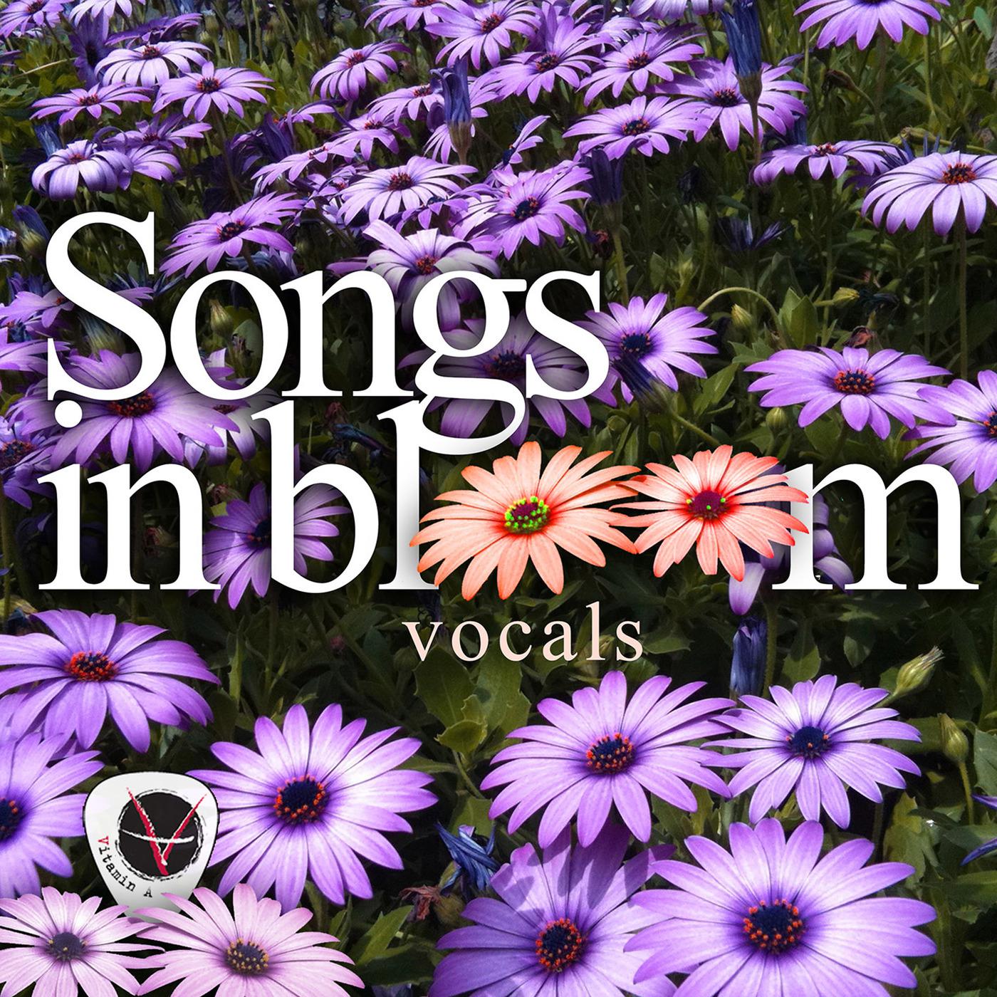 Songs In Bloom专辑