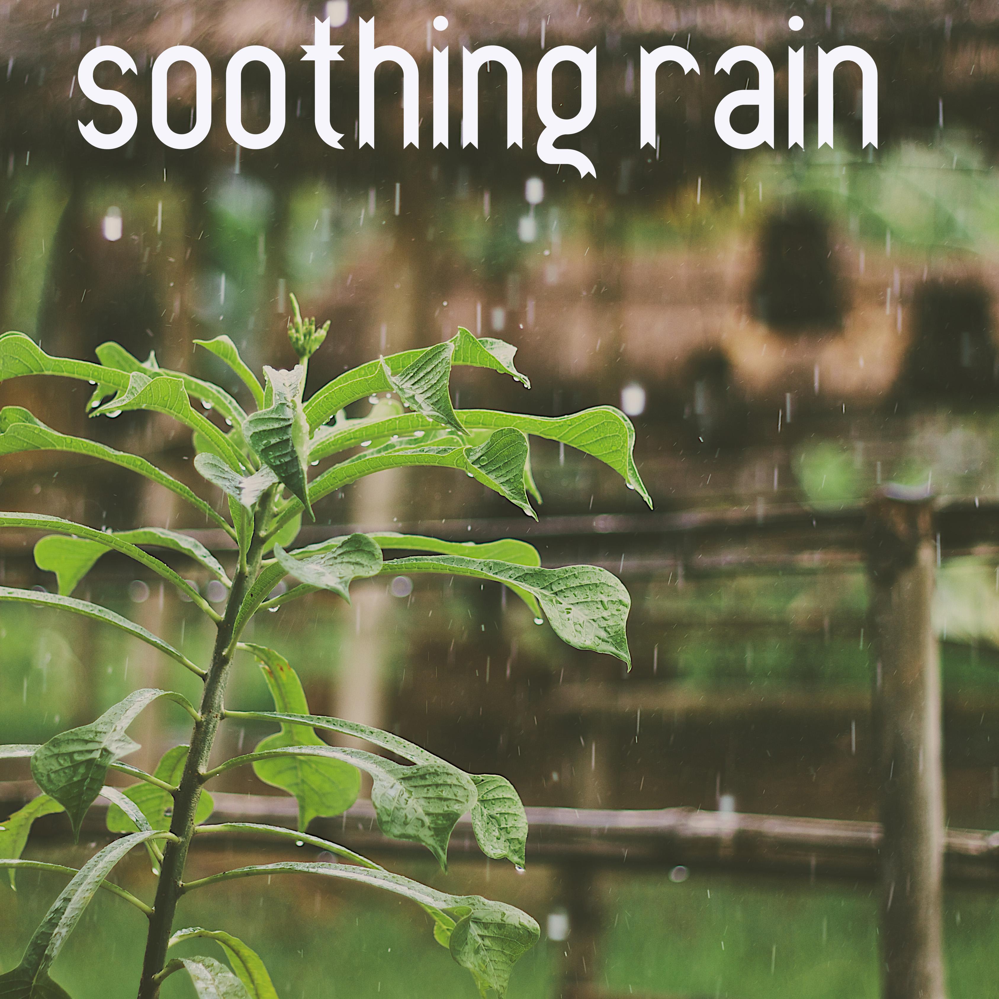 17 Rain Sounds to Soothe the Soul专辑