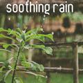 17 Rain Sounds to Soothe the Soul