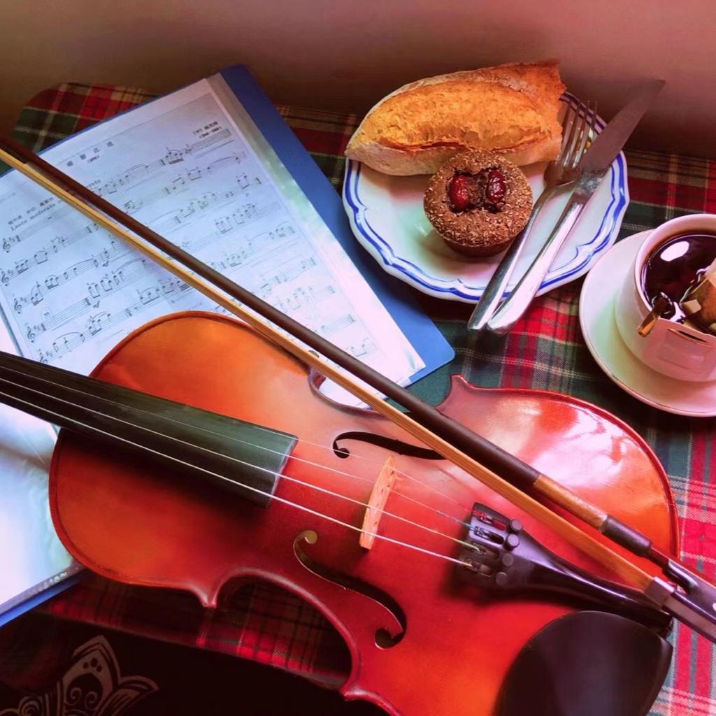 The heart is like a violin