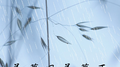 羡慕风羡慕雨专辑