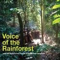 Voice of the Rainforest专辑