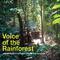 Voice of the Rainforest专辑