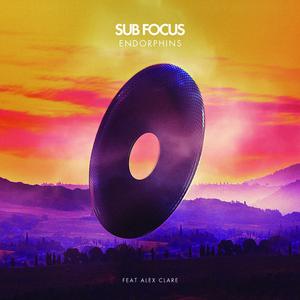 Endorphins - Sub Focus & Alex Clare (unofficial Instrumental) 无和声伴奏 （升8半音）