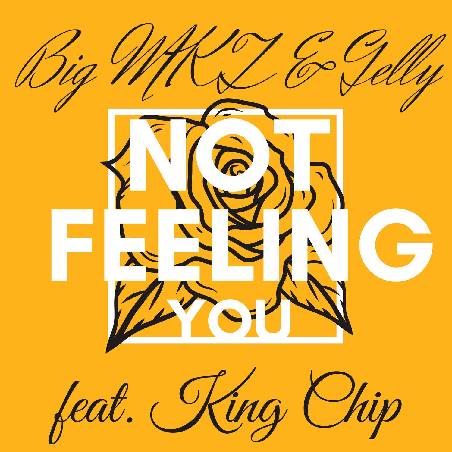 Big MKZ - Not Feeling You