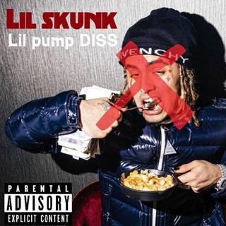 Lil pump diss