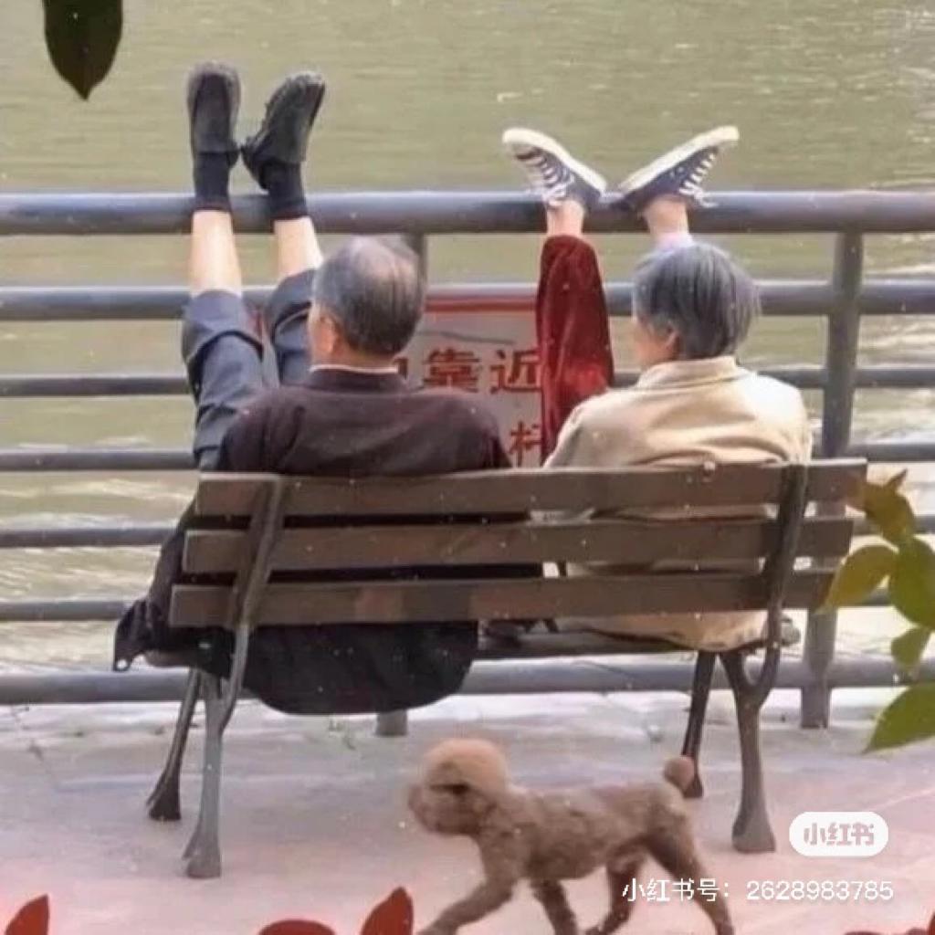 情歌哼给你听
