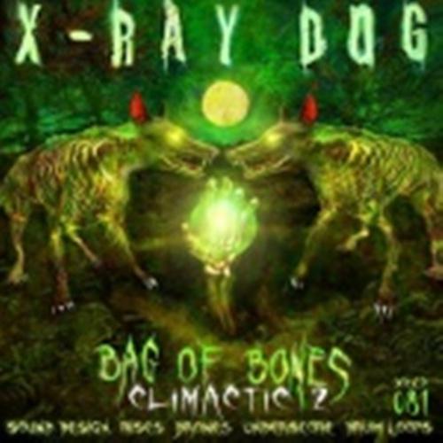 Bag Of Bones: Climactic 2专辑
