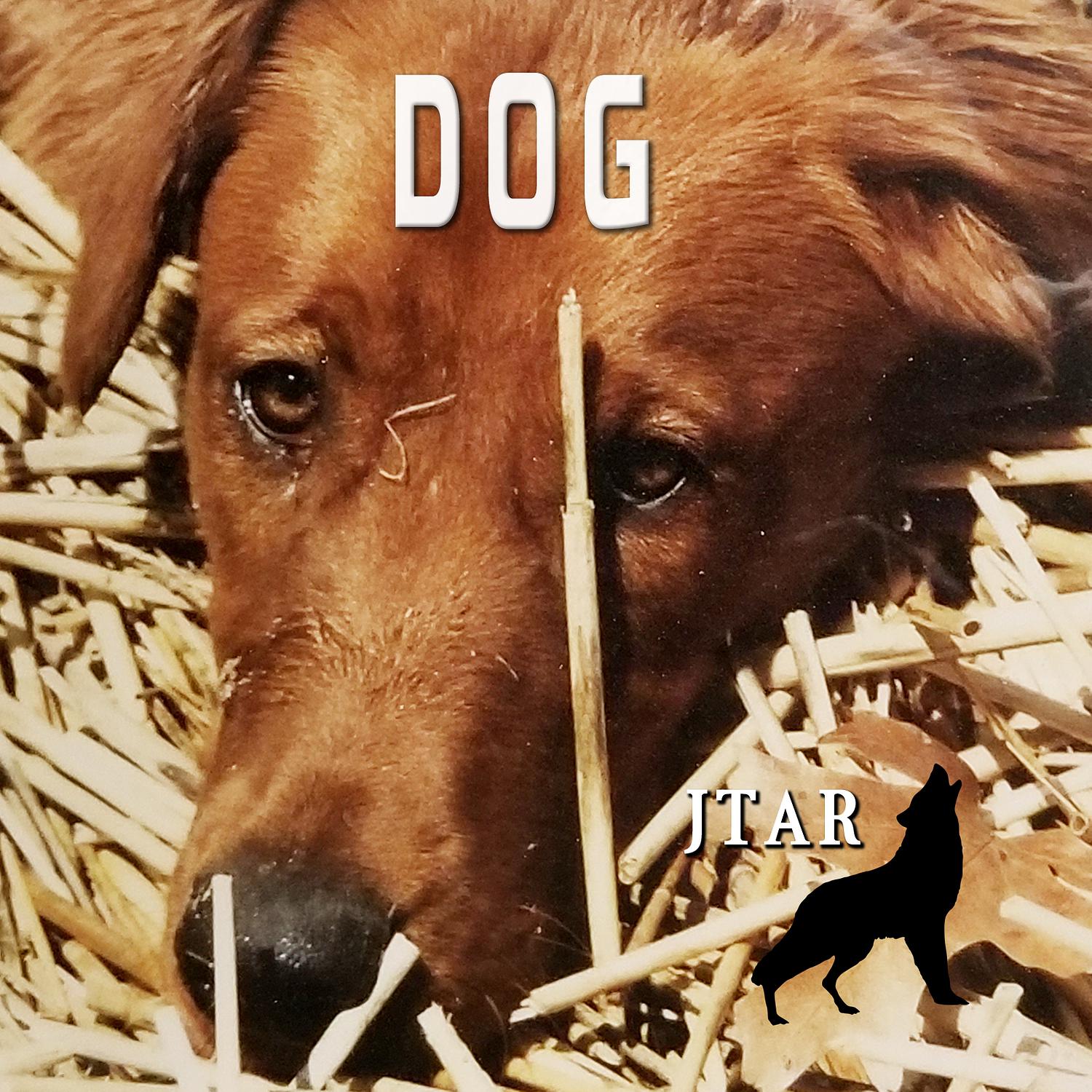 Jtar - Dog