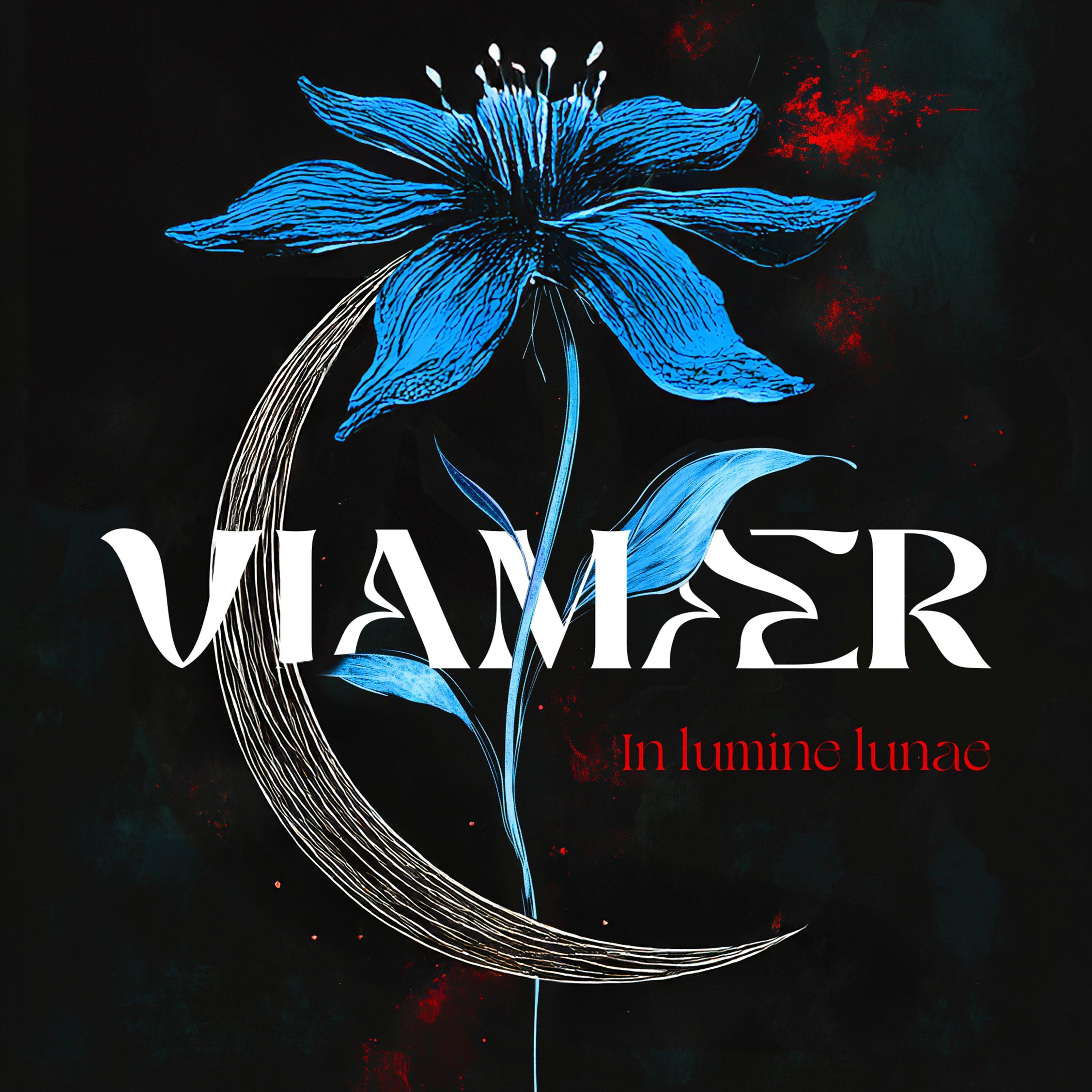 In excitatione terrae