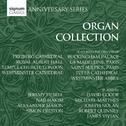 The Organ Collection专辑