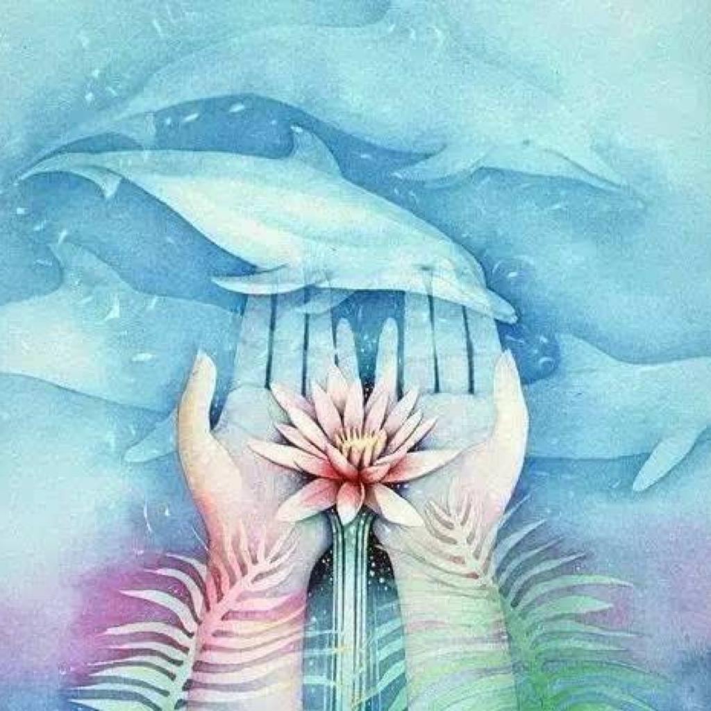 心理咨询师推荐的冥想睡眠音乐