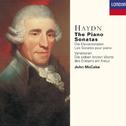 Haydn: The Piano Sonatas/Variations/The Seven Last Words (12 CDs)专辑