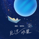 见过水星 