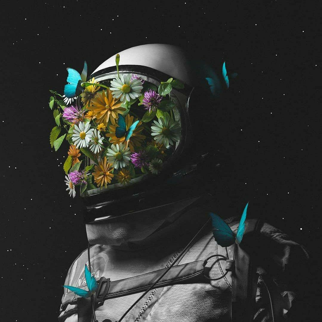 NASA/Apollo 后摇号