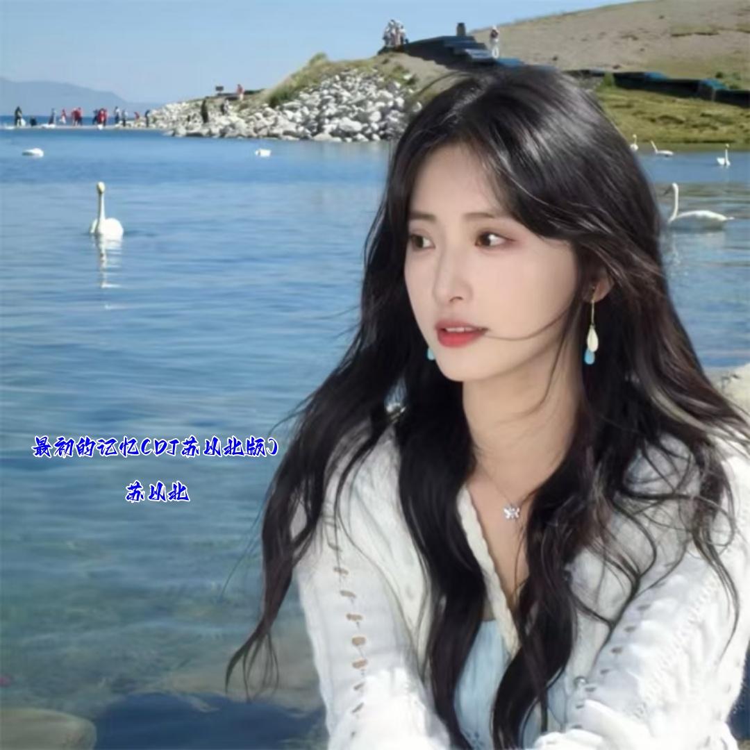 最初的记忆(DJ苏以北版)