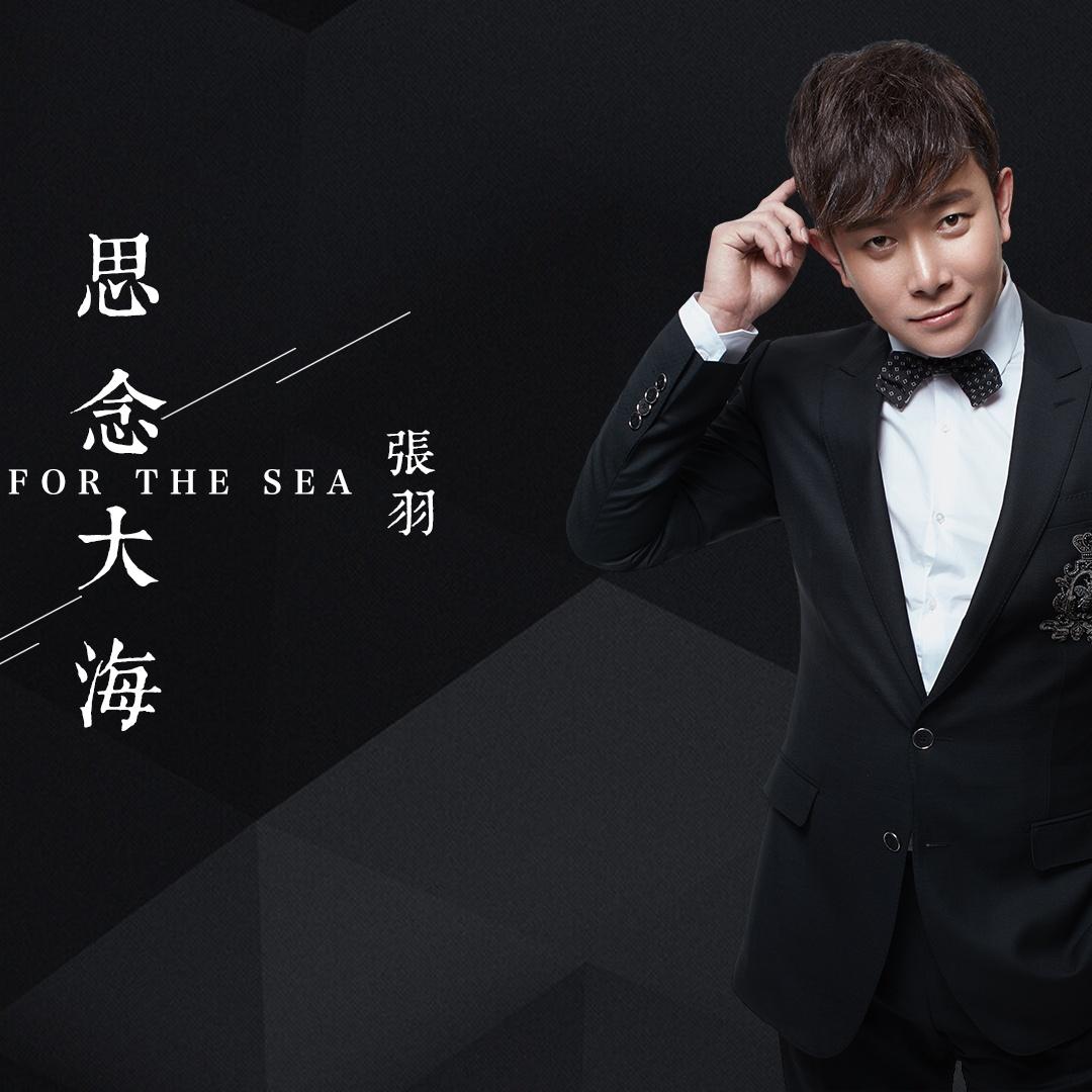 思念大海 - 张羽 - 单曲 - 网易云音乐