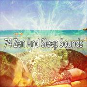 74 Zen And Sleep Sounds