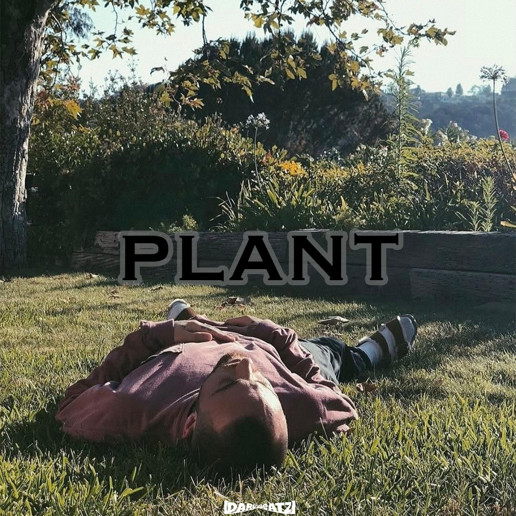 Free Chill Boombap type beat “Plant”