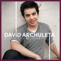 A Little Too Not over You - David Archuleta (unofficial Instrumental) 无和声伴奏