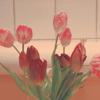 热爱全开｜小唱随行，将生活照亮