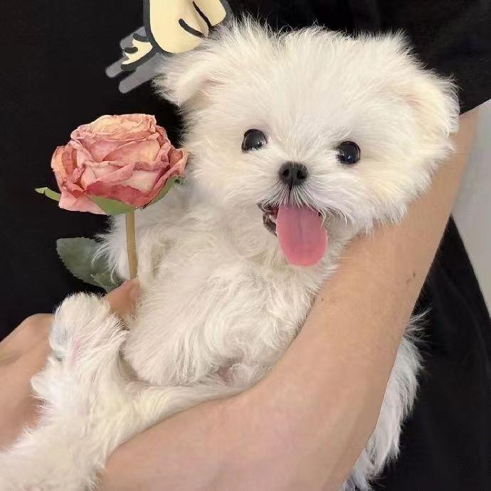 这一生关于你的风景