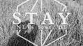 Stay专辑