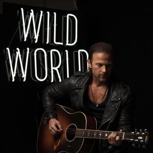 Wild World (Karaoke Version) （原版立体声带和声） （升5半音）