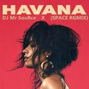 Havana (SPACE RGMIX)专辑