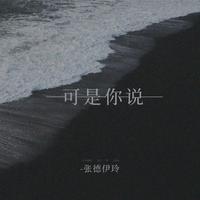 张德伊玲 - 可是你说（原版带和声伴奏）